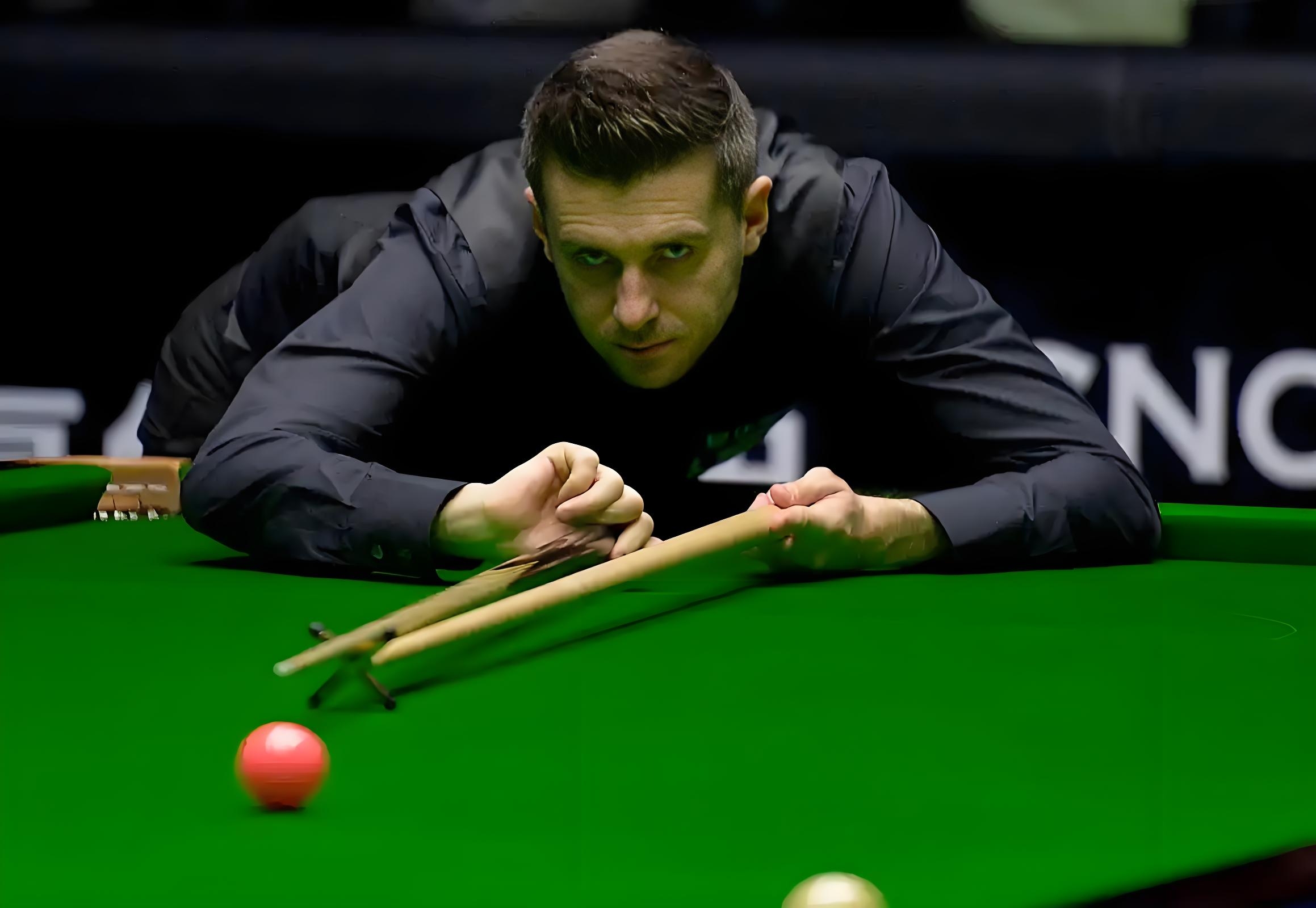 也纷纷与赛 也纷纷与赛